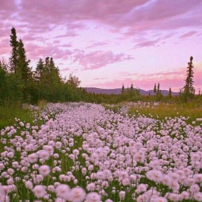 打鱼下载手机app下载截图