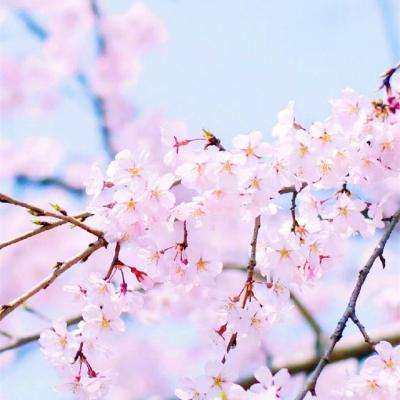 打鱼下载手机app下载